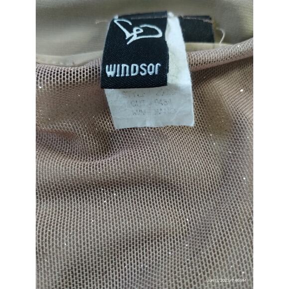 Y2K Windsor Women's Small Mesh Corset Bustier Crop Whimsical Shimmer Top Party - Picture 6 of 12